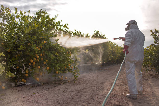 Professional Pest Control in Marion Center, MA